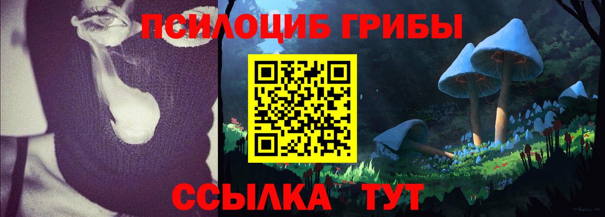 магазин продажи   Псилоцибиновые грибы GOLDEN TEACHER  Череповец  Вход с VPN  Псилоцибиновые грибы MAGIC MUSHROOMS 